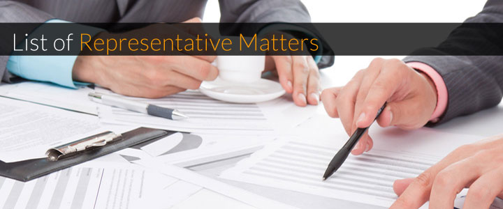 List of Representative Matters